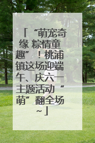 “萌宠奇缘 粽情童趣”！桃浦镇这场迎端午、庆六一主题活动“萌”翻全场～