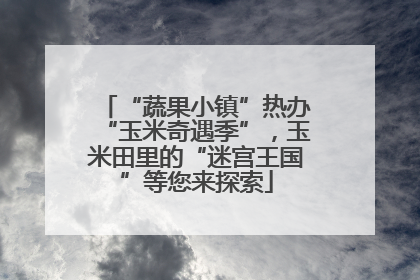 “蔬果小镇”热办“玉米奇遇季”，玉米田里的“迷宫王国”等您来探索