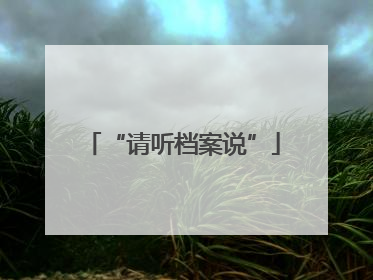 “请听档案说”