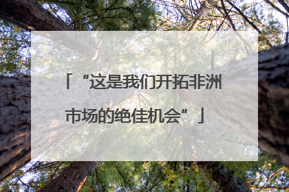 “这是我们开拓非洲市场的绝佳机会”