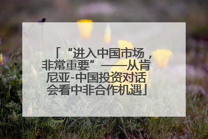 “进入中国市场，非常重要”——从肯尼亚-中国投资对话会看中非合作机遇