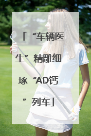 “车辆医生”精雕细琢“AD钙”列车