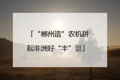 “郴州造”农机耕耘非洲好“丰”景