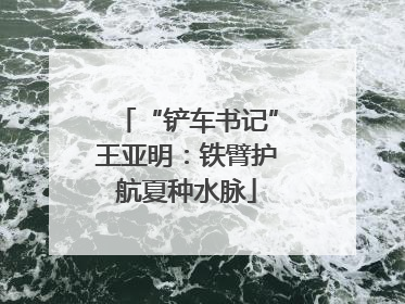 “铲车书记”王亚明：铁臂护航夏种水脉