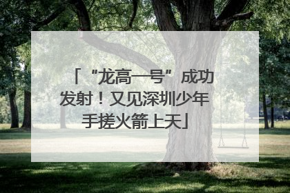 “龙高一号”成功发射！又见深圳少年手搓火箭上天
