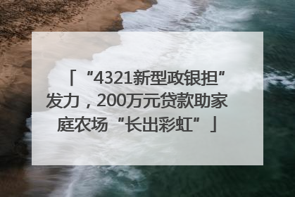 “4321新型政银担”发力，200万元贷款助家庭农场“长出彩虹”