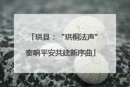 珙县：“珙桐法声”奏响平安共建新序曲