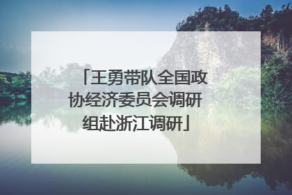 王勇带队全国政协经济委员会调研组赴浙江调研