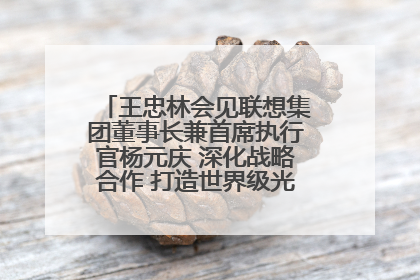 王忠林会见联想集团董事长兼首席执行官杨元庆 深化战略合作 打造世界级光电子信息产业集群