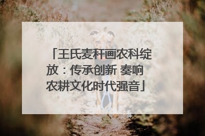 王氏麦秆画农科绽放：传承创新 奏响农耕文化时代强音