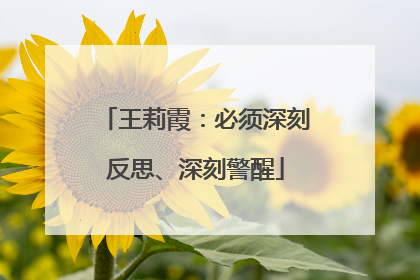 王莉霞：必须深刻反思、深刻警醒
