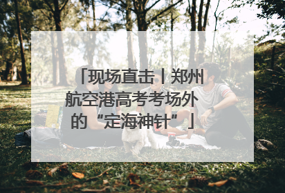 现场直击丨郑州航空港高考考场外的“定海神针”