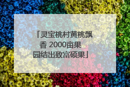 灵宝桃村黄桃飘香 2000亩果园结出致富硕果