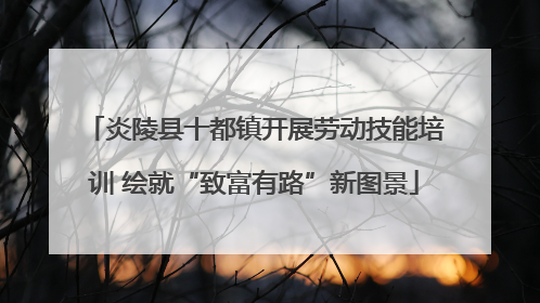 炎陵县十都镇开展劳动技能培训 绘就“致富有路”新图景