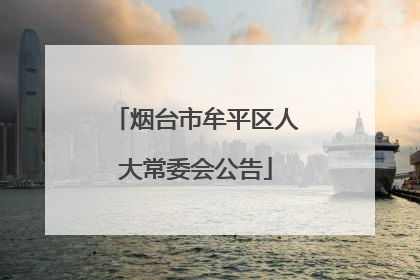 烟台市牟平区人大常委会公告