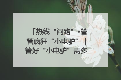 热线“问路”•管管疯狂“小电驴”｜管好“小电驴”需多部门形成合力