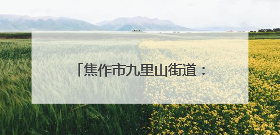 焦作市九里山街道：“数字赋能”助力党员档案电子化管理