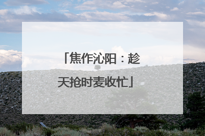 焦作沁阳：趁天抢时麦收忙