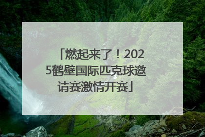 燃起来了！2025鹤壁国际匹克球邀请赛激情开赛