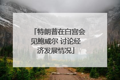 特朗普在白宫会见鲍威尔 讨论经济发展情况
