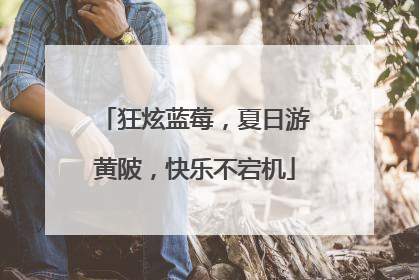 狂炫蓝莓，夏日游黄陂，快乐不宕机