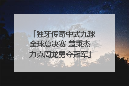 独牙传奇中式九球全球总决赛 楚秉杰力克周龙勇夺冠军