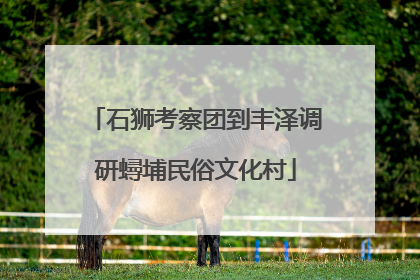 石狮考察团到丰泽调研蟳埔民俗文化村