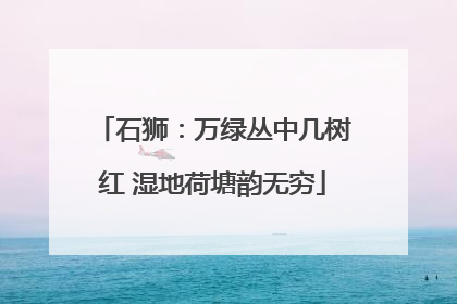 石狮：万绿丛中几树红 湿地荷塘韵无穷