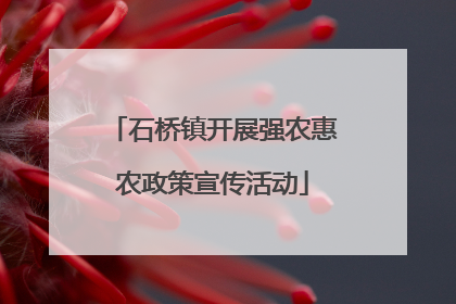 石桥镇开展强农惠农政策宣传活动