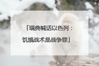 瑞典喊话以色列：饥饿战术是战争罪