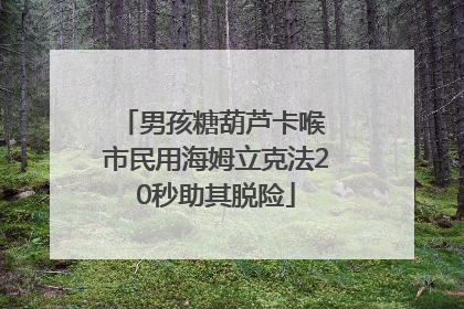 男孩糖葫芦卡喉 市民用海姆立克法20秒助其脱险