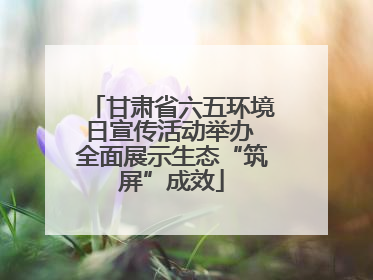 甘肃省六五环境日宣传活动举办 全面展示生态“筑屏”成效