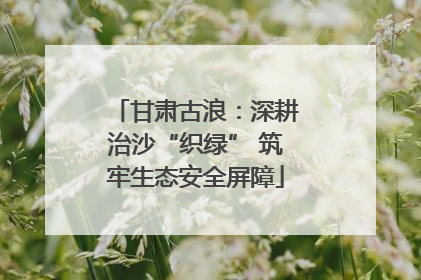 甘肃古浪：深耕治沙“织绿” 筑牢生态安全屏障