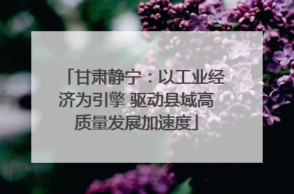 甘肃静宁：以工业经济为引擎 驱动县域高质量发展加速度