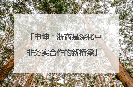 申坤：浙商是深化中非务实合作的新桥梁