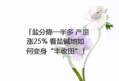 盐分降一半多 产量涨25% 看盐碱地如何变身“丰收田”