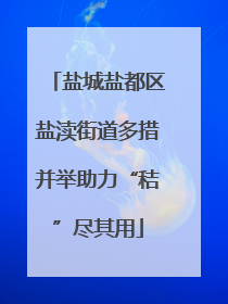 盐城盐都区盐渎街道多措并举助力“秸”尽其用
