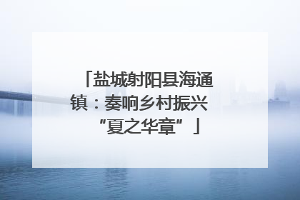 盐城射阳县海通镇：奏响乡村振兴“夏之华章”