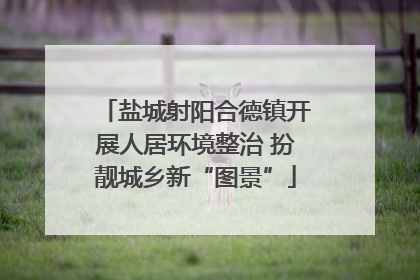盐城射阳合德镇开展人居环境整治 扮靓城乡新“图景”