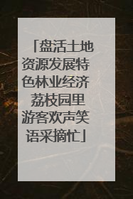 盘活土地资源发展特色林业经济 荔枝园里游客欢声笑语采摘忙