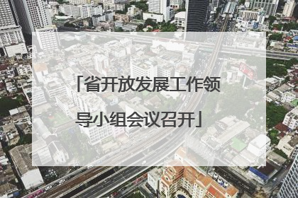 省开放发展工作领导小组会议召开