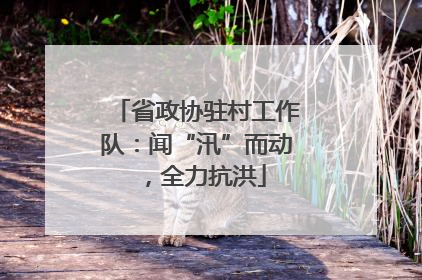 省政协驻村工作队：闻“汛”而动，全力抗洪