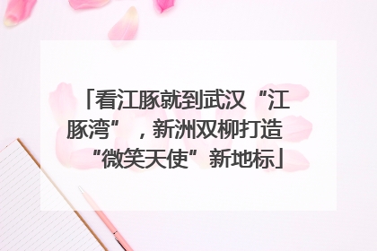 看江豚就到武汉“江豚湾”，新洲双柳打造“微笑天使”新地标