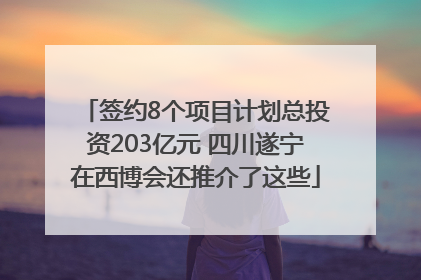 签约8个项目计划总投资203亿元 四川遂宁在西博会还推介了这些
