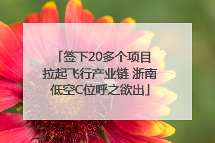 签下20多个项目 拉起飞行产业链 浙南低空C位呼之欲出