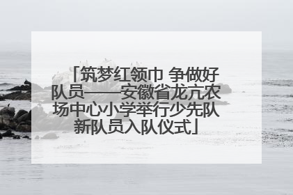 筑梦红领巾 争做好队员——安徽省龙亢农场中心小学举行少先队新队员入队仪式