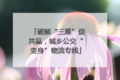 破解“三难”促共赢，城乡公交“变身”物流专线