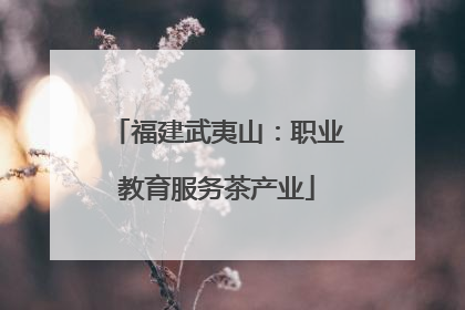 福建武夷山：职业教育服务茶产业