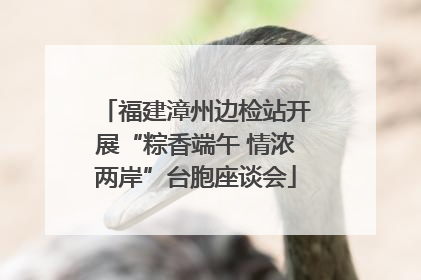 福建漳州边检站开展“粽香端午 情浓两岸”台胞座谈会