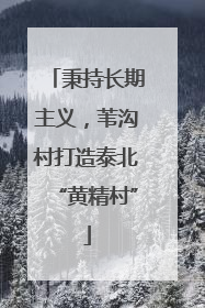 秉持长期主义，苇沟村打造泰北“黄精村”